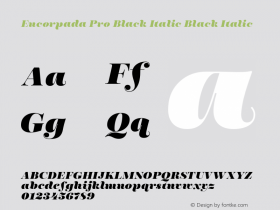 Encorpada Pro Black Italic