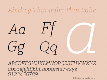 Abiding Thin Italic