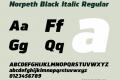 Norpeth Black Italic