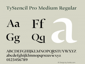 TyStencil Pro Medium