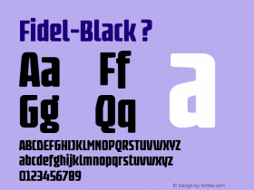 Fidel-Black