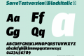 SarreTestversion-BlackItalic