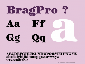 BragPro