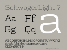 SchwagerLight