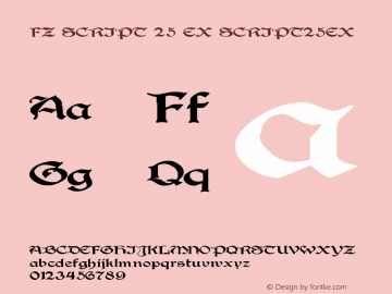 FZ SCRIPT 25 EX