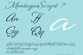 MontagueScript