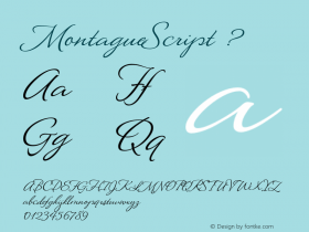 MontagueScript