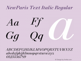 NewParis Text Italic