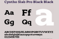 Cyntho Slab Pro Black