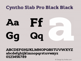 Cyntho Slab Pro Black