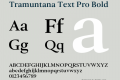 Tramuntana Text Pro