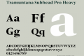 Tramuntana Subhead Pro