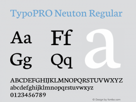 TypoPRO Neuton