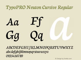 TypoPRO Neuton Cursive