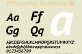 PTSansPro-BoldItalic