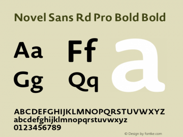 Novel Sans Rd Pro Bold