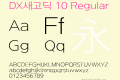 DX새고딕 10