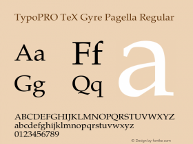 TypoPRO TeX Gyre Pagella