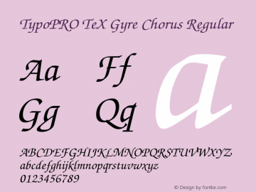 TypoPRO TeX Gyre Chorus