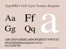 TypoPRO TeX Gyre Termes