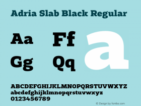 Adria Slab Black