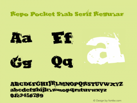 Repo Pocket Slab Serif