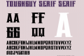 ToughGuy Serif