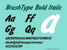 BrushType