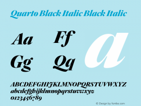 Quarto Black Italic
