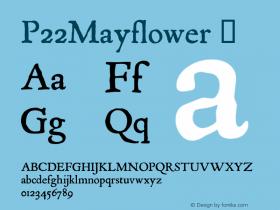 P22Mayflower