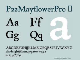 P22MayflowerPro