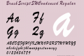 BrushScriptSWCondensed