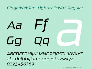 GingerWebPro-LightItalic