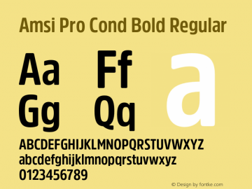 Amsi Pro Cond Bold