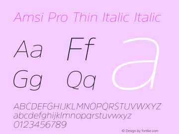 Amsi Pro Thin Italic