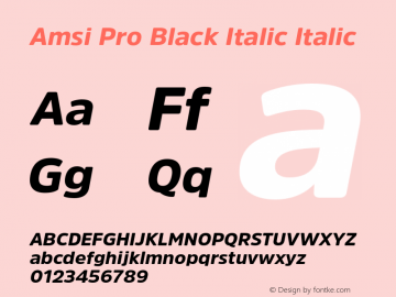 Amsi Pro Black Italic