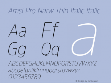 Amsi Pro Narw Thin Italic
