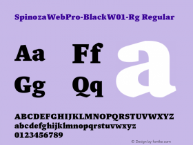 SpinozaWebPro-Black-Rg