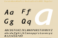 EurekaMonoWebPro-MediumItalic