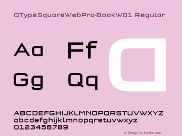 QTypeSquareWebPro-Book