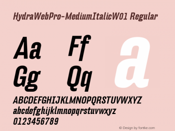 HydraWebPro-MediumItalic