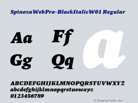 SpinozaWebPro-BlackItalic