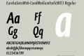 EurekaSansWeb-CondMediumItalic