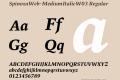 SpinozaWeb-MediumItalic