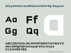 QTypeWeb-CondMedium-Rg