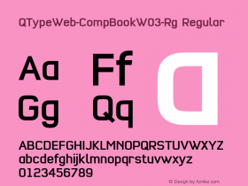 QTypeWeb-CompBook-Rg