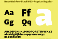 NuvoWebPro-Black-Regular