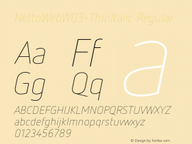 NettoWeb-ThinItalic