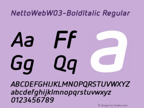 NettoWeb-BoldItalic