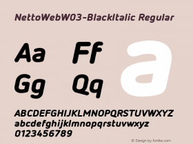 NettoWeb-BlackItalic